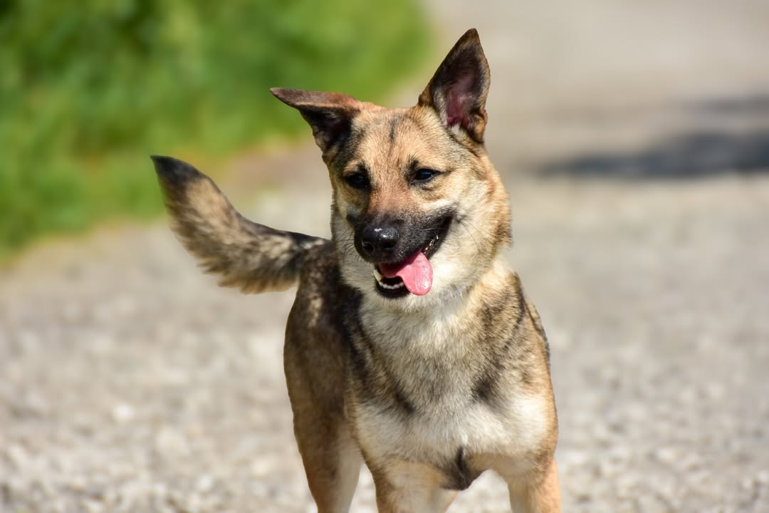 FB_IMG_1781097806264
