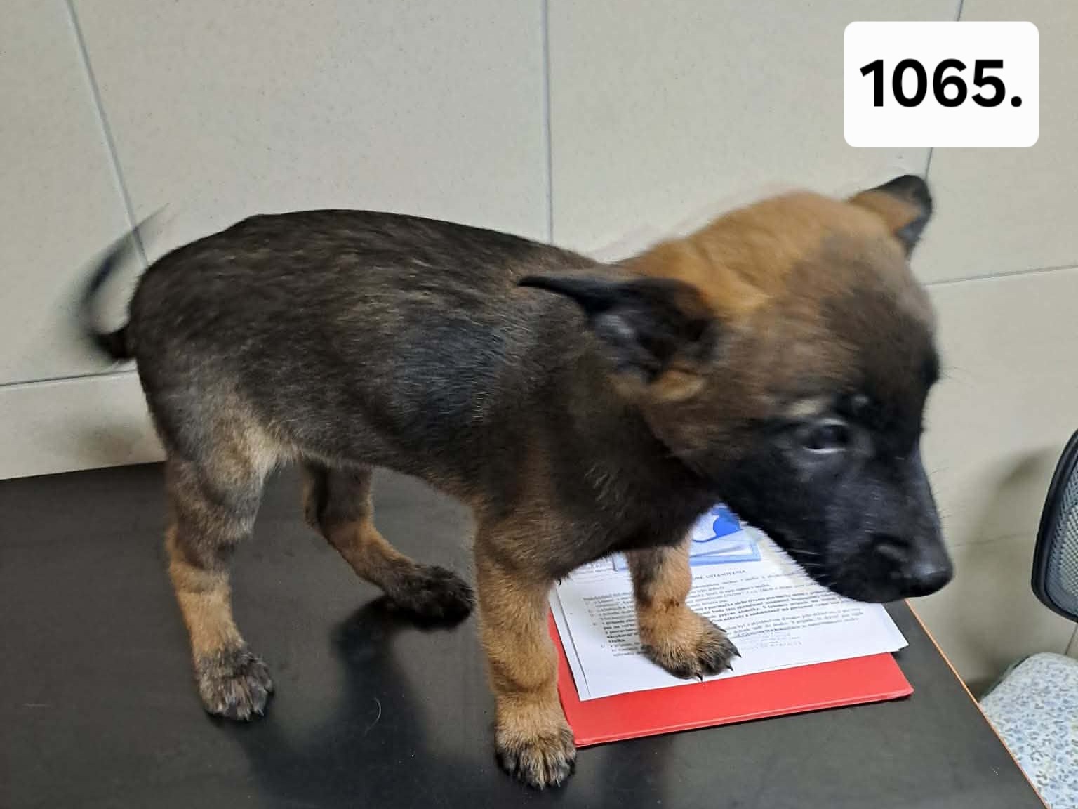 1065